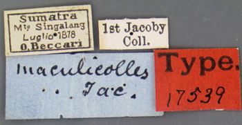 Media type: image; Entomology 17539   Aspect: labels